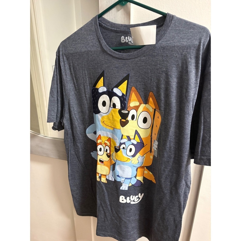 Bluey Family Portrait Graphic T-Shirt Heather Gray Womens Large Bandit Bingo Tee
